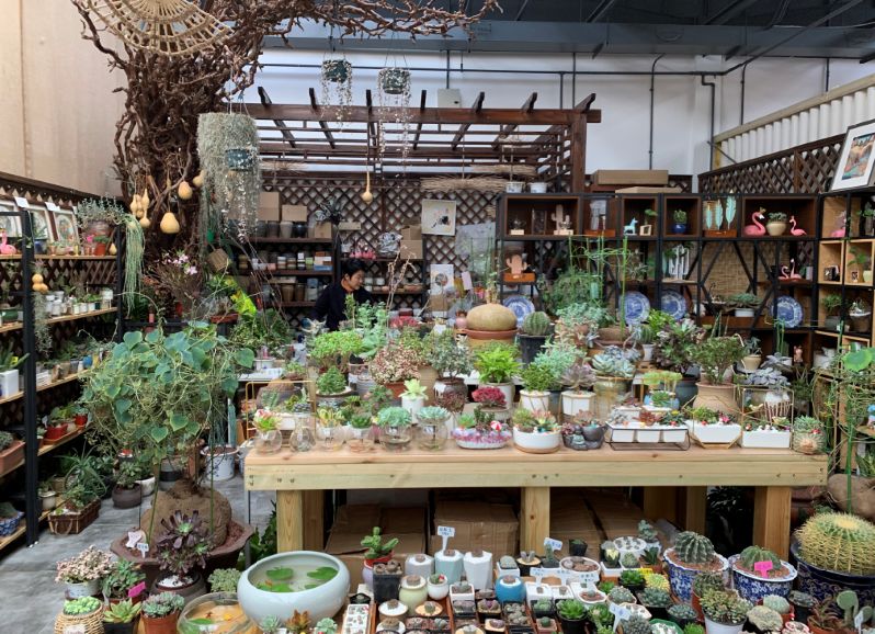 小编整理！丰台四大花市逛买攻略！春节就要这喜庆劲儿