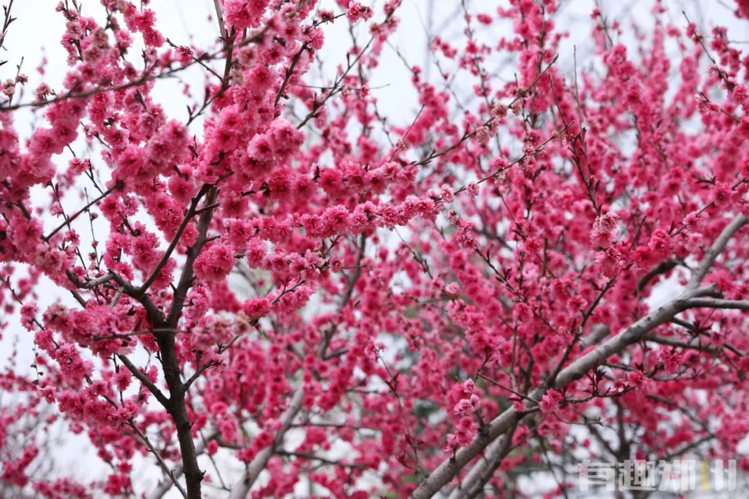 郑州周边人少清静有山有水的地方,郑州人少的公园适合野营