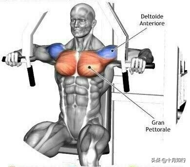 最有效把胸肌练硬训练,把胸肌练厚徒手