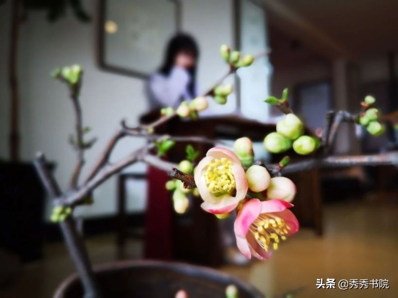 闀垮畨闆呭＋,闀垮畨闆呭＋瀹屾暣瑙嗛