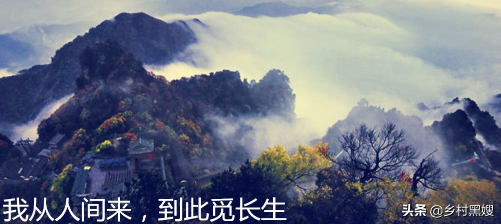 古人怎么理解仙神?神在天仙在山!一口气搞懂古人心目中的仙道