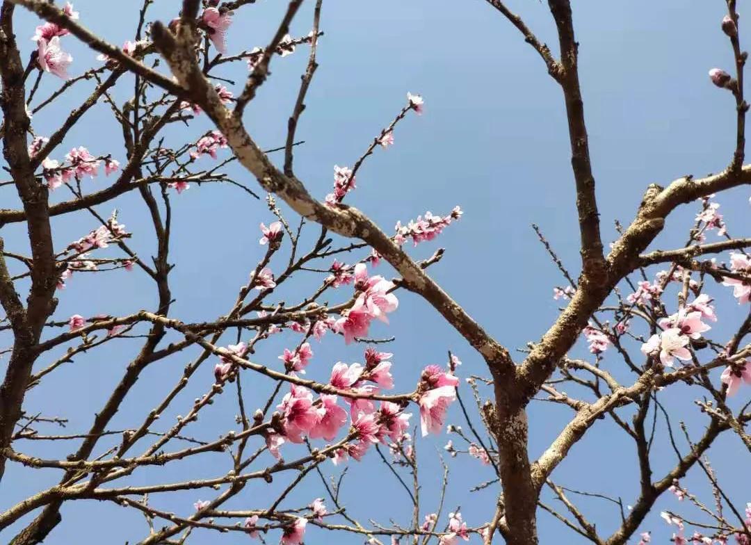 云南万溪冲景点,云南真实的桃花源村