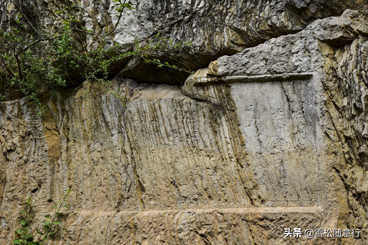 琛岃蛋鍦ㄤ含鏉ぇ杩愭渤,寰愬窞澶ц繍娌宠寘鏉戞