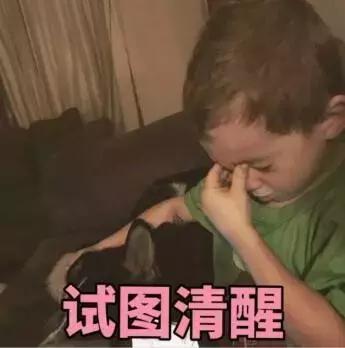 小白都能学的python编程课,小白都能学会