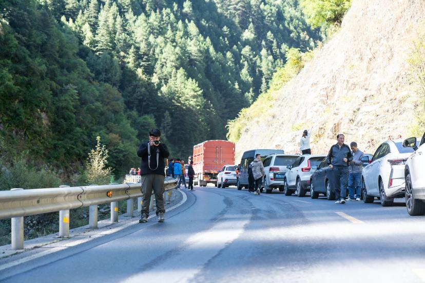 胡正阳经典视频,胡正阳游记川藏线