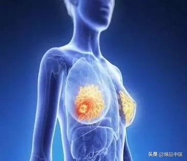 全息望诊大全视频,浅议生物全息律与中医望诊