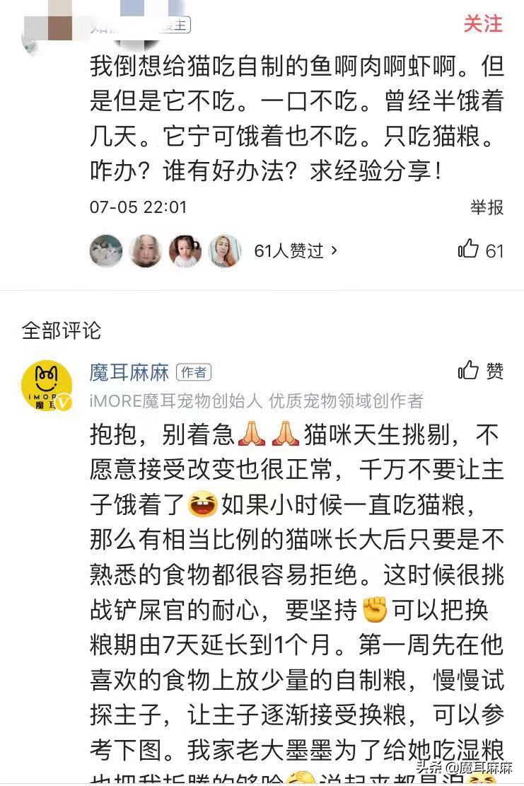 资深铲屎官都喂猫咪吃些什么,铲猫咪屎有注意事项吗