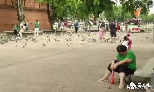 网店美女转行卖彩票，月入2万铢养全家，泰国经济真的不景气？