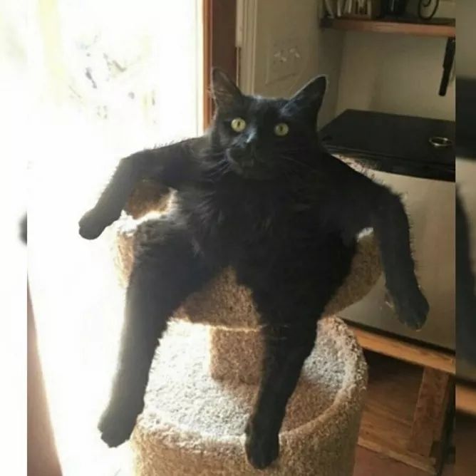 重磅礼物,大礼物开箱