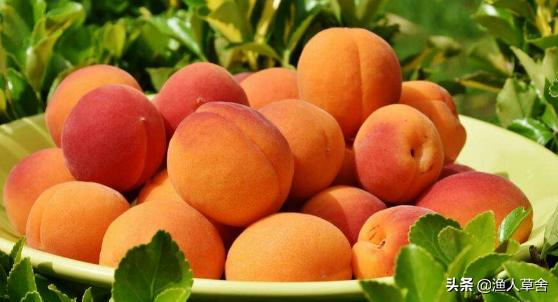 桃子树如何才能让果变甜,桃子树结满密密麻麻的桃子怎么办