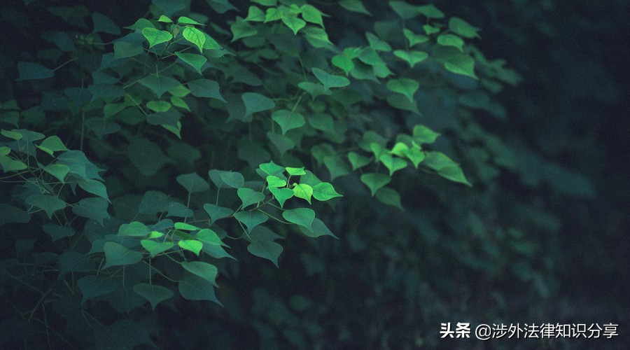 海事法律法规司法解释一览表,海事诉讼法司法解释