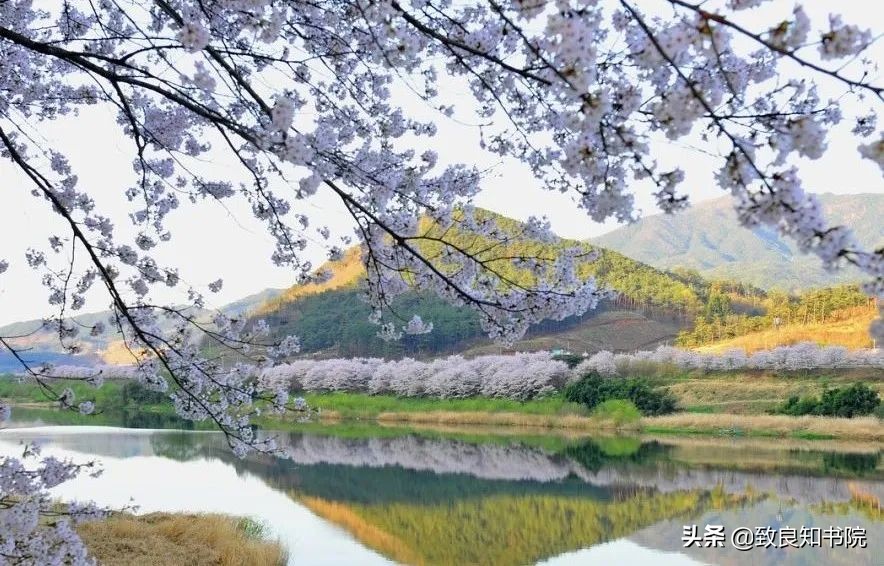 王阳明守正笃行久久为功,守正出奇成就璀璨人生图片