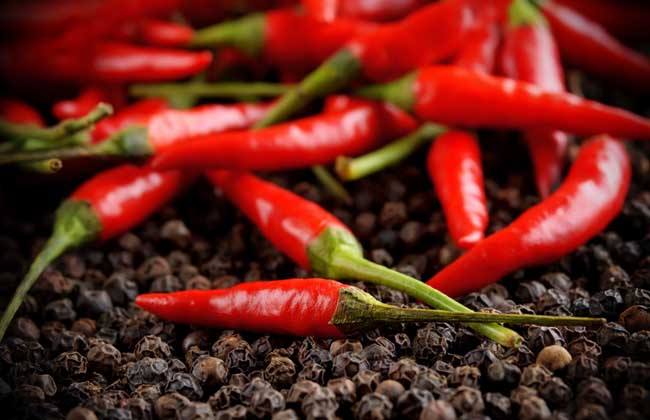 公认燃脂最快的十大食物,公认最燃脂的东西