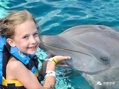 108种微商加人方法已过时，试试这些新的引流方法吧！