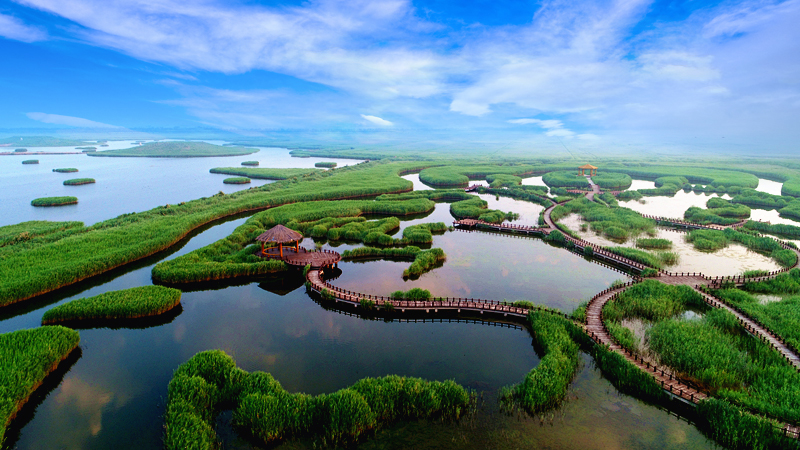 滨海恒大文旅城现状,沧州滨海恒大文旅城