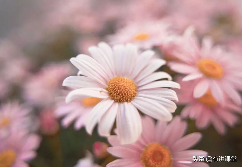 基础英语口语谚语,常用英语口语谚语500句