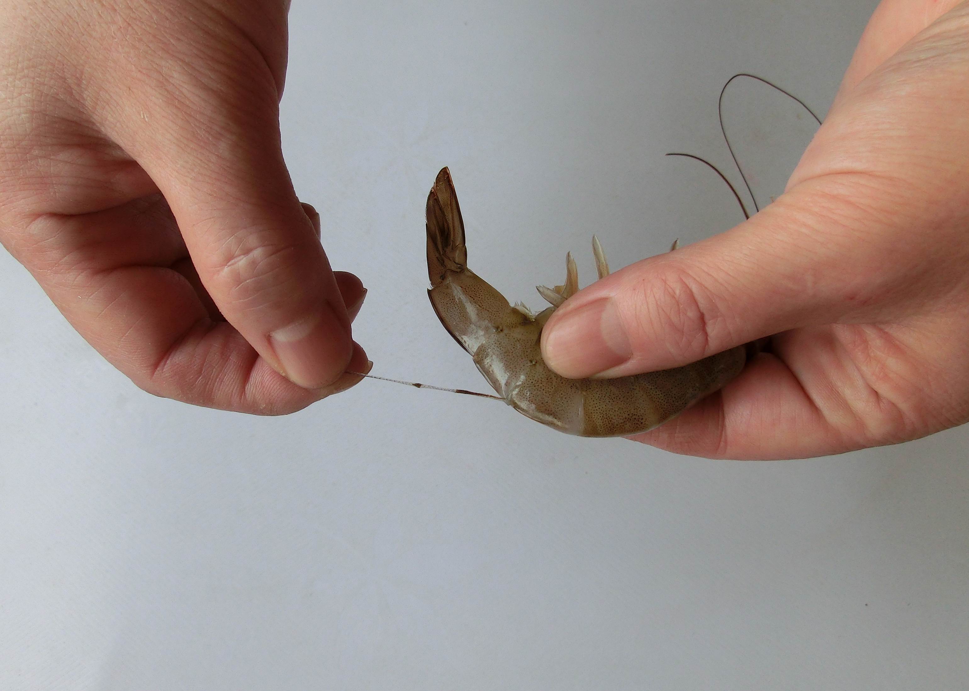 港式避风塘炒虾做法,正宗港式避风塘炒虾