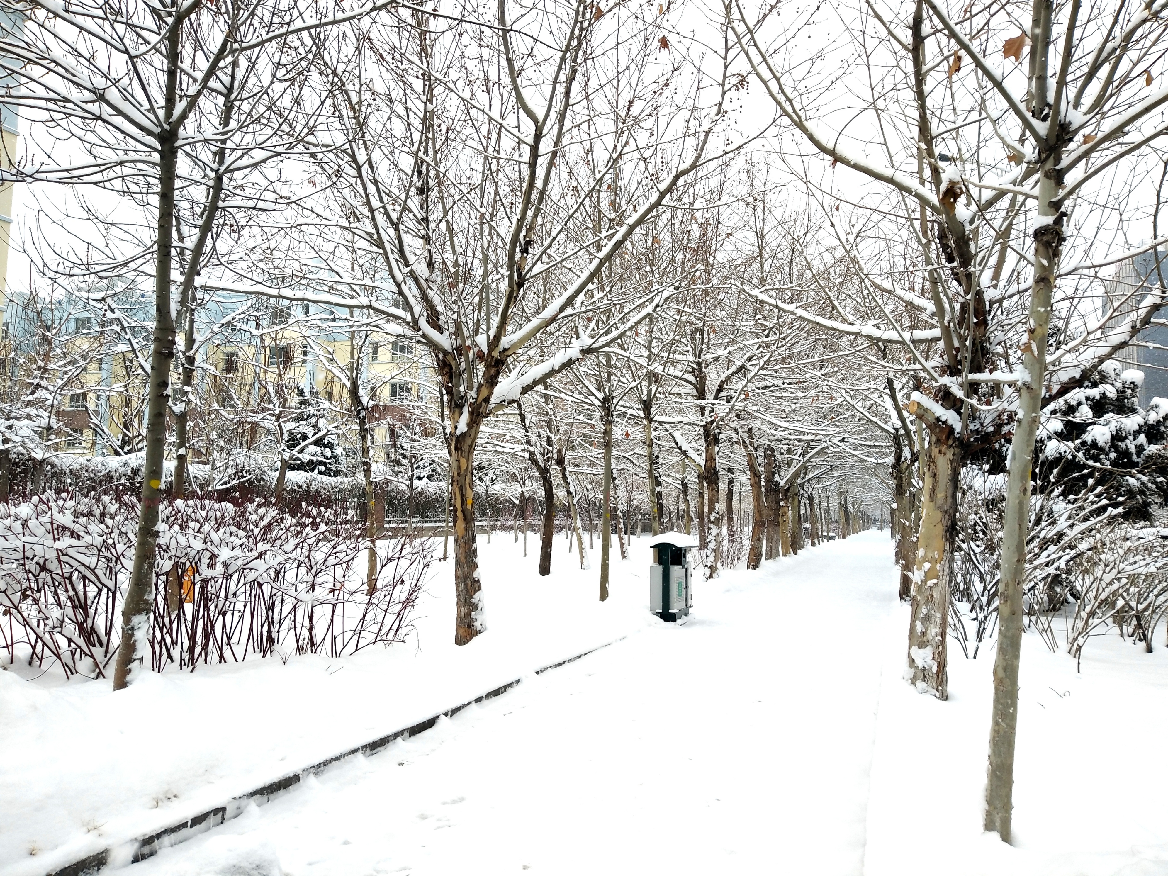 三天免税店攻略,三天培训感悟