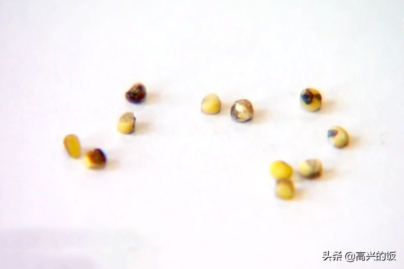 买小米怎么挑选才正确,小米哪些东西不建议购买