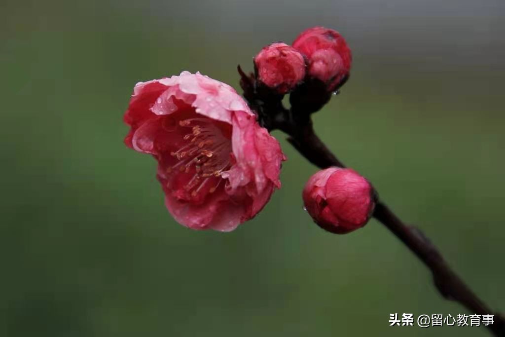 小学四年级人教版数学总复习,人教版四年级数学1-7单元练习