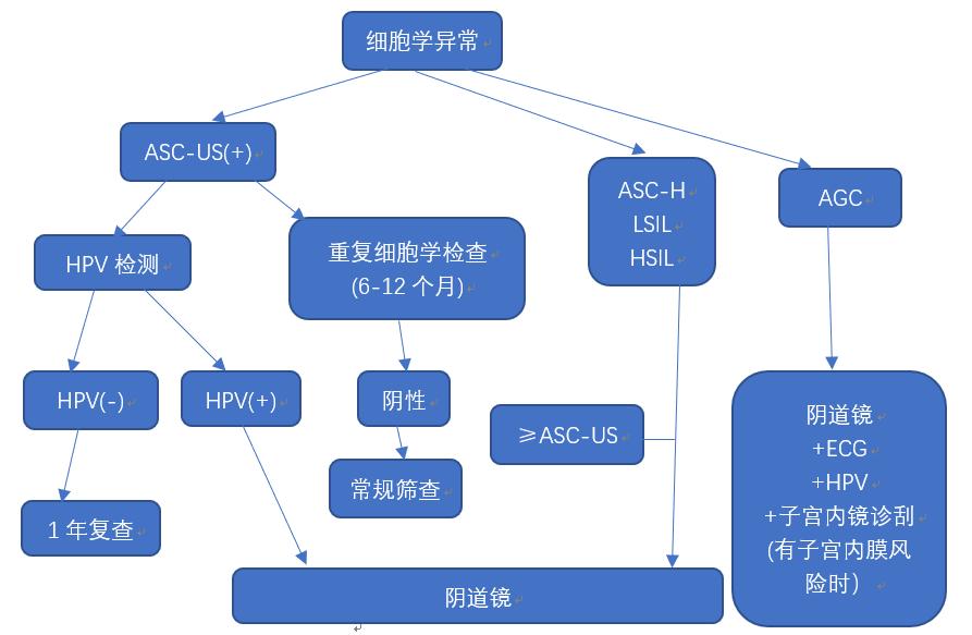 子宫颈癌筛查结果异常诊疗流程轻松应对