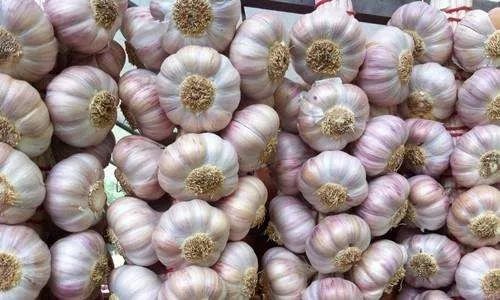 新蒜价格创3年新高大蒜价格疯涨,大蒜价格跌至近年最低