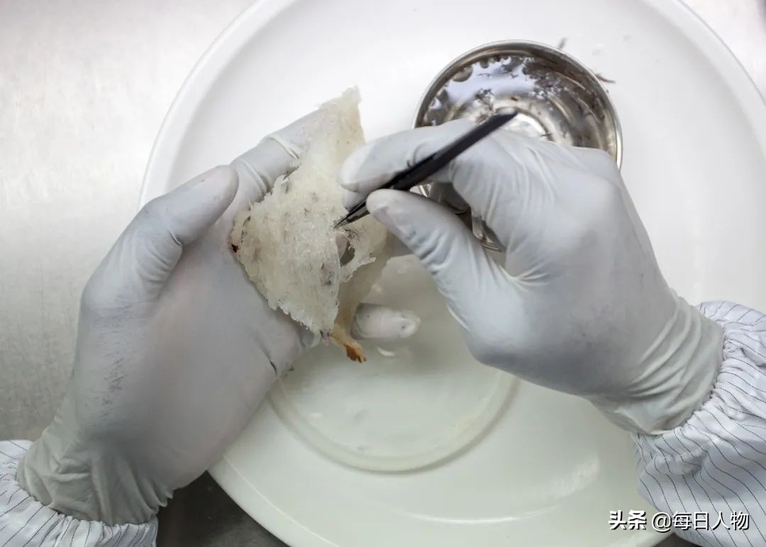 祛火、助眠、美容，这一届年轻人有多焦虑，燕窝就卖得有多疯狂