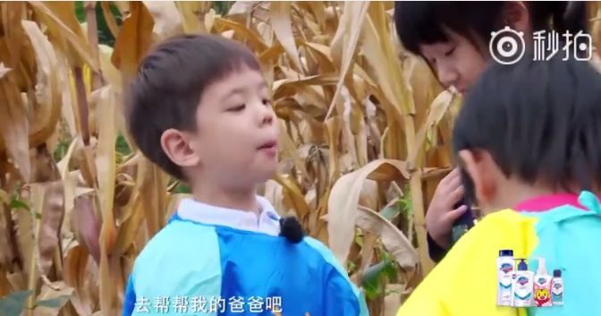 嗯哼霍思燕的教育方法特别好,霍思燕是如何培养嗯哼的高情商的