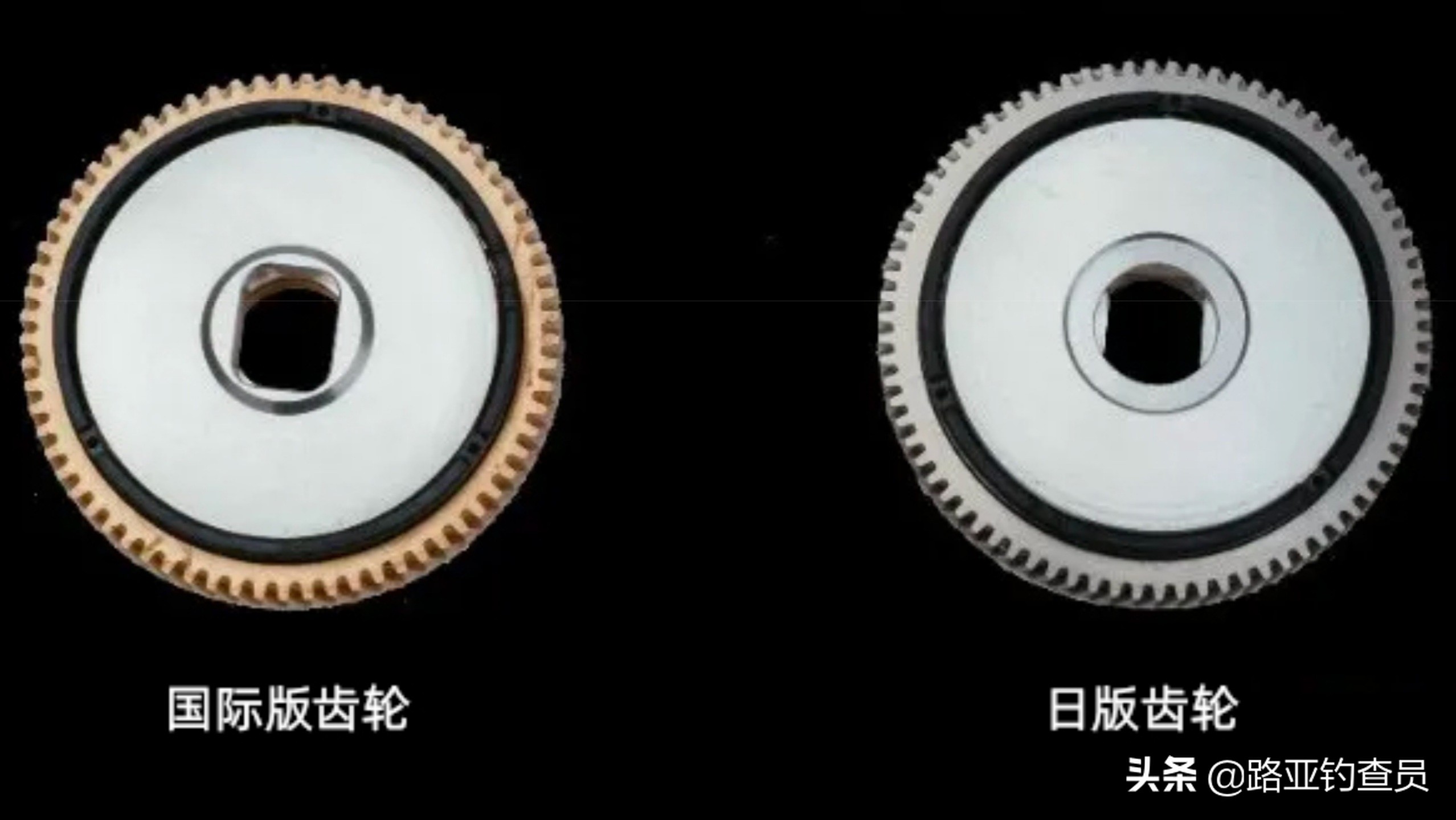 2021子龙sv国际版,2021款子龙sv官方发布价