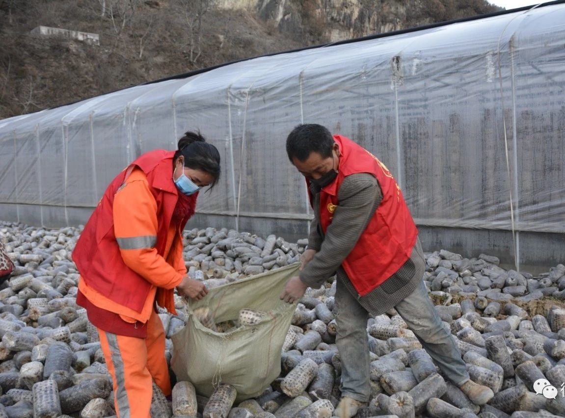 抗击疫情公益志愿活动图片,抗击疫情志愿同行