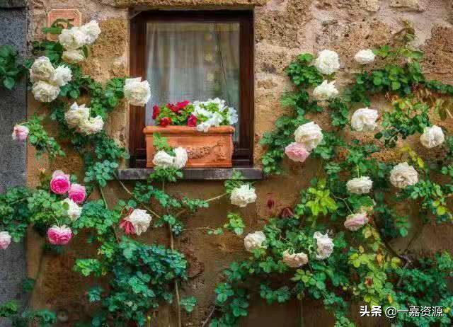 100本阅读书单,100本必读书单