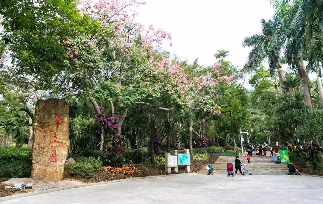 福田大地的变化,福田中心区变化