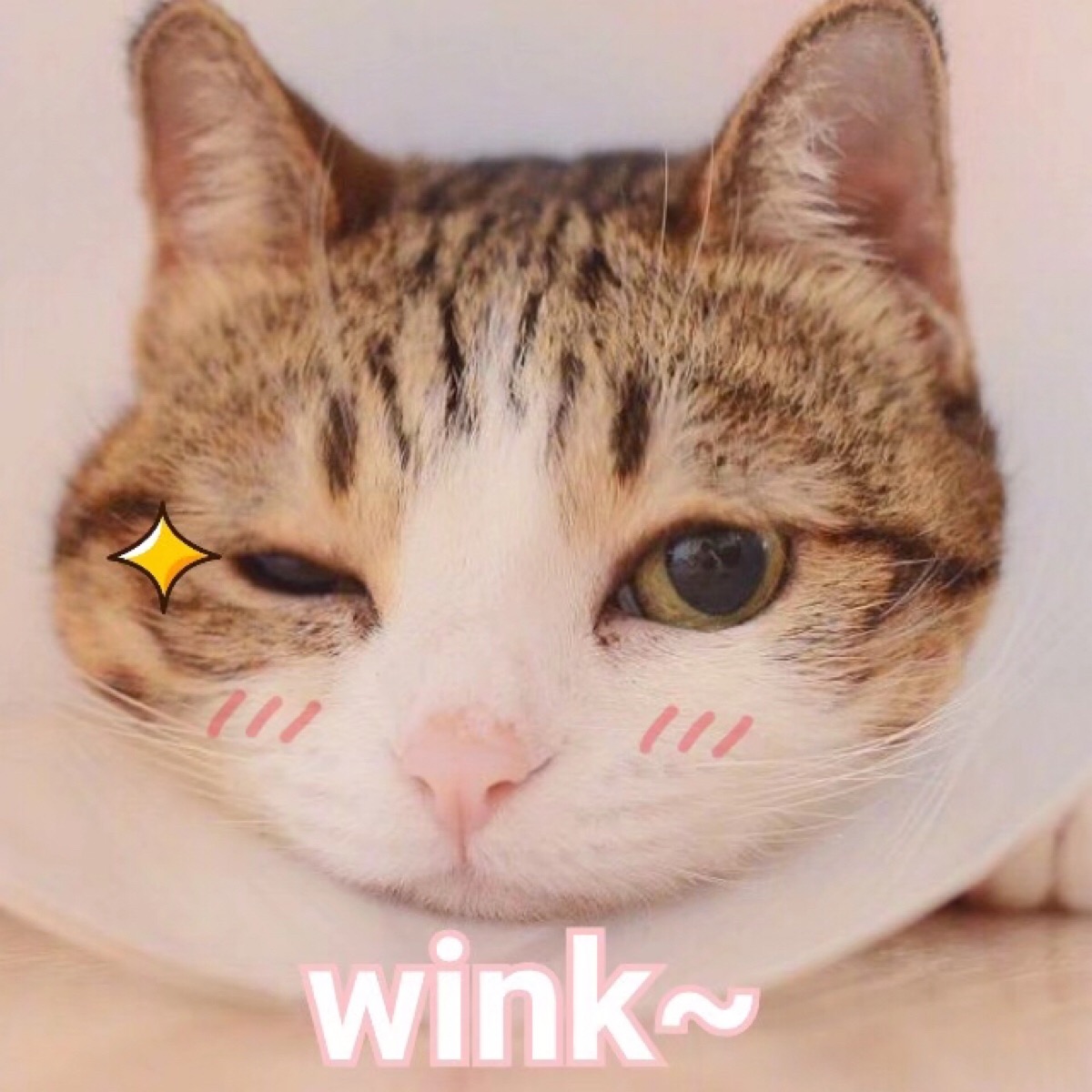 值得长期不换的口红,空管口红10支必买