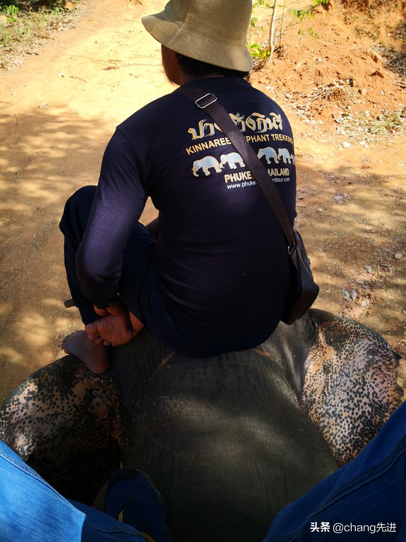 泰国普吉斯米兰跟团浮潜,泰国普吉岛自由潜水皇帝岛