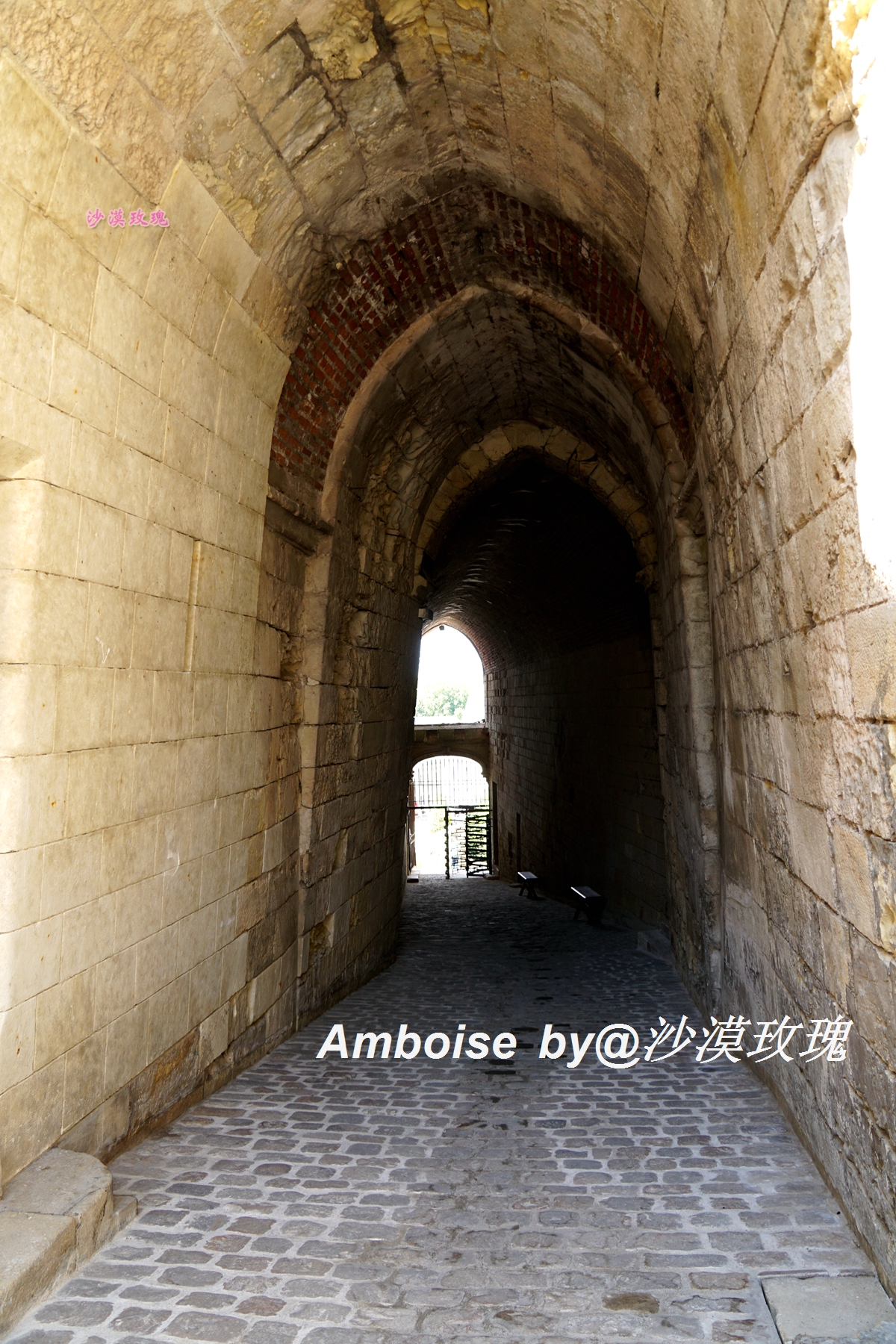 法国卢浮宫纪念达芬奇,达芬奇与法国国王