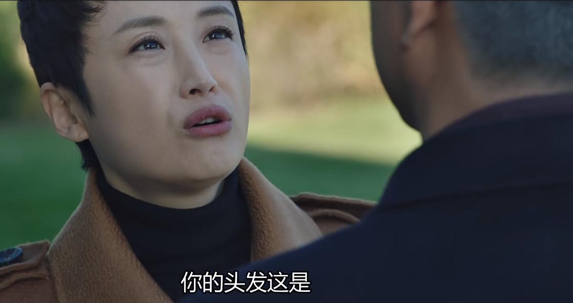 刘奕君猎狐王柏林剪辑,猎狐大结局王凯