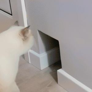 打造人宠共乐的家—“铲S官”的装修笔记