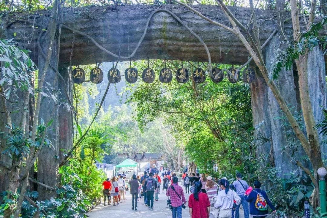 春节风景绝美的旅行地小众,春节云海旅游攻略