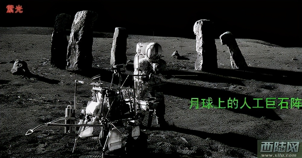 世界十大生物未解之谜,未解之谜奇闻异事神秘生物