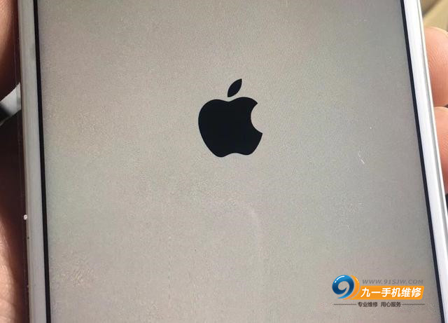 苹果手机开不开机白苹果什么原因,苹果手机白苹果开不了机什么原因