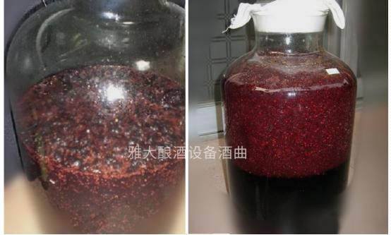 受疫情影响桑葚无人问津,雅大烤酒设备教您足不出户酿美酒