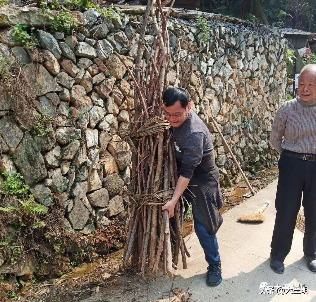 【满意在三明】清沟扫地摆整齐，大田掀起人居整治热潮