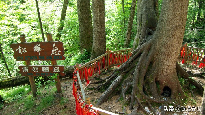 长白山西坡和北坡看天池区别,长白山北坡和西坡哪个能看全天池