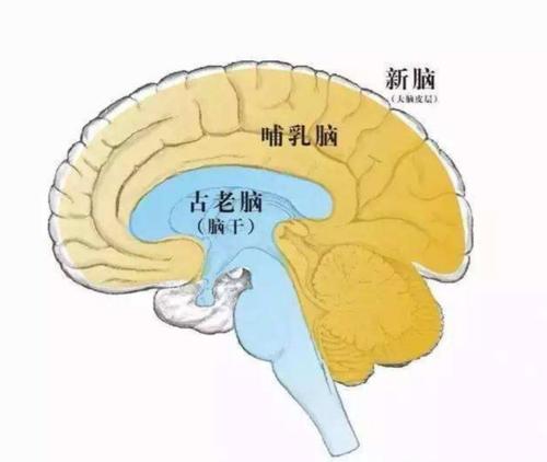 学会存钱克制欲望,能够克制欲望的人