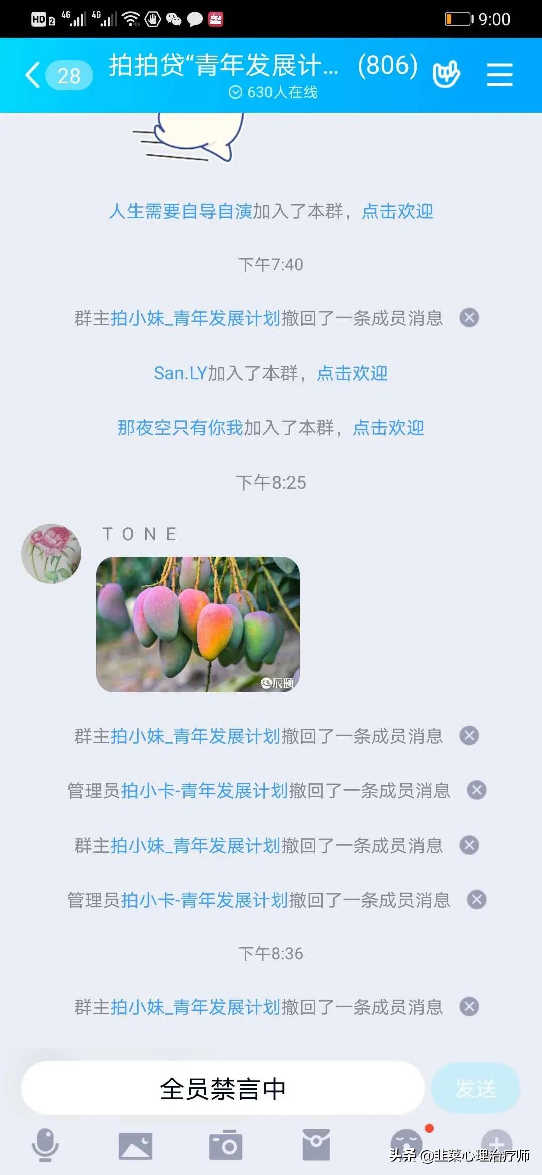 拍拍贷打拼青年能申请成功吗,拍拍贷创业项目