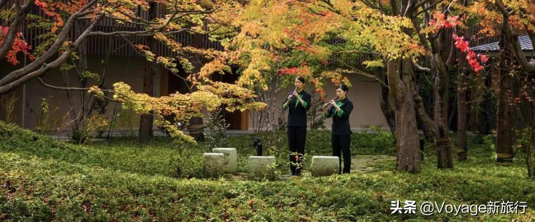 日本星野温泉酒店,日式旅馆星野度假村