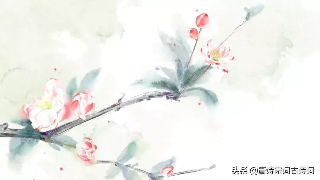 100句绝美诗词,美到心碎最触动心灵的十句诗词