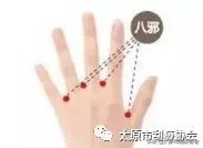 手指发麻的小妙招,颈椎按摩手法手指发麻