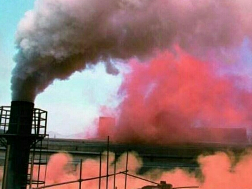 蝙蝠是不是濒临灭绝动物,蝙蝠到底是什么样的动物