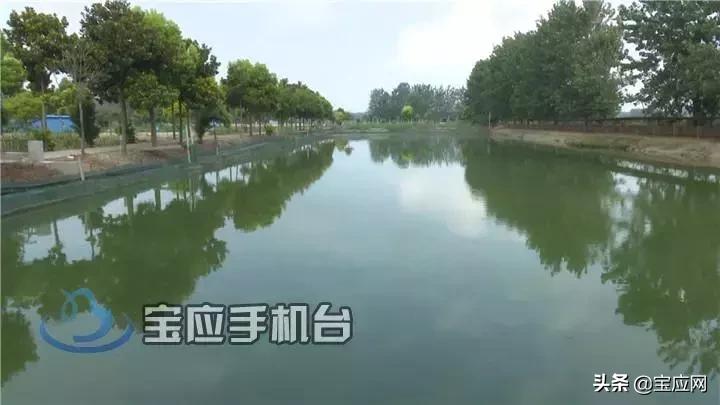 甲鱼养殖生态农场,甲鱼生态养殖视频大全